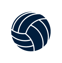 volleyball icon